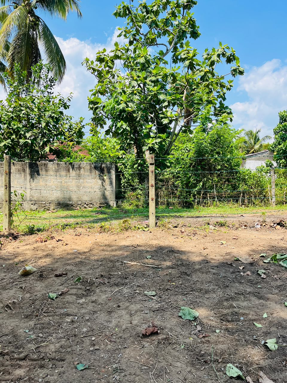 🏡 පානදුර – නිව්ඩාව (Newdawa) ඉඩමක් විකිණීමට