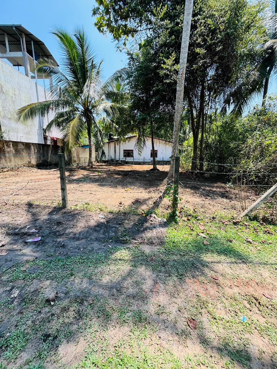 🏡 පානදුර – නිව්ඩාව (Newdawa) ඉඩමක් විකිණීමට