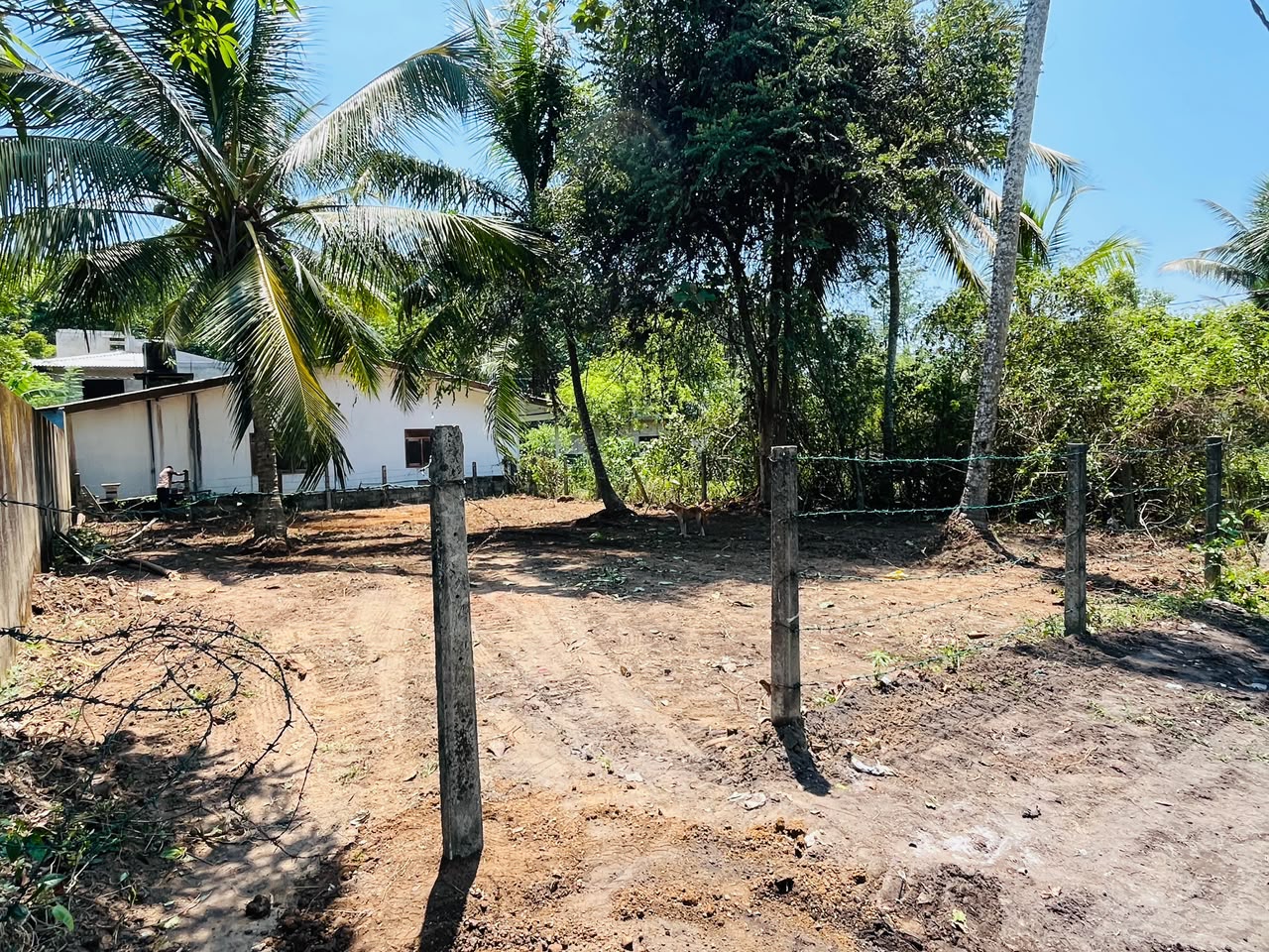🏡 පානදුර – නිව්ඩාව (Newdawa) ඉඩමක් විකිණීමට