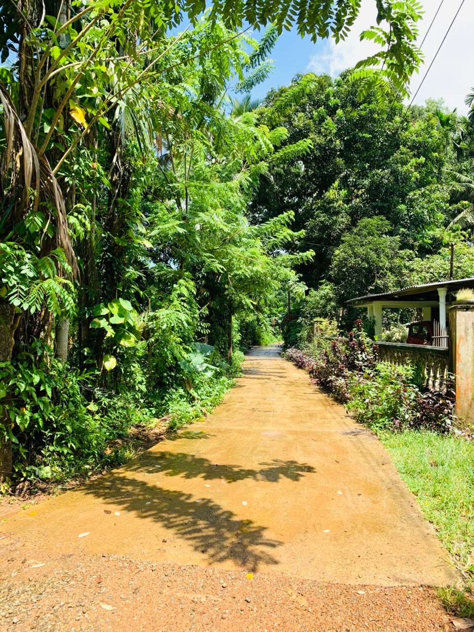 කුරැවිට නිවාස දෙකක් විකිණීමට