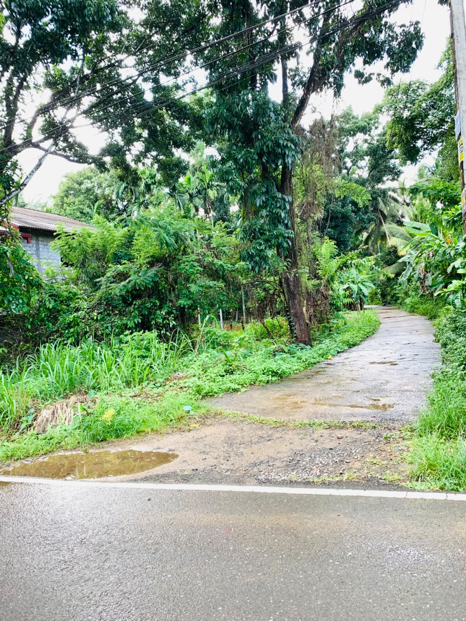 කුරැවිට නිවාස දෙකක් විකිණීමට