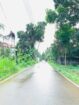 කුරැවිට නිවාස දෙකක් විකිණීමට