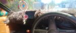 Nissan Sunny 1984