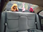 Nissan Sunny EX Saloon 2004