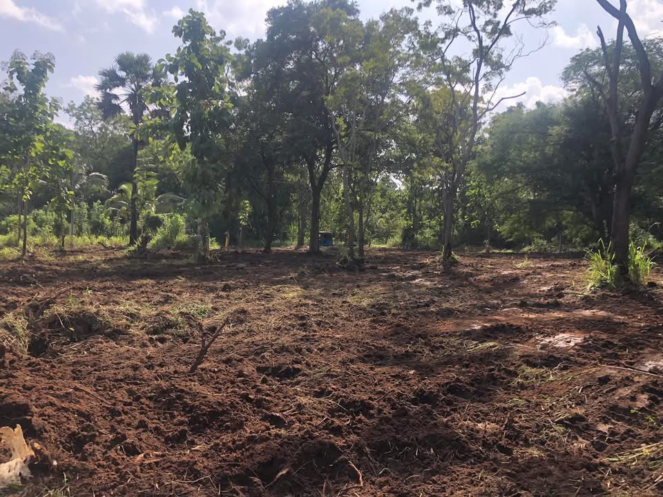 අනුරාධපුර පරසන්ගස්වැව ප්‍රදේශයේ පර්.49 ක හිස් ඉඩමක් විකිණීමට ඇත.