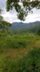 110 Perch Land For Sale In Beragala