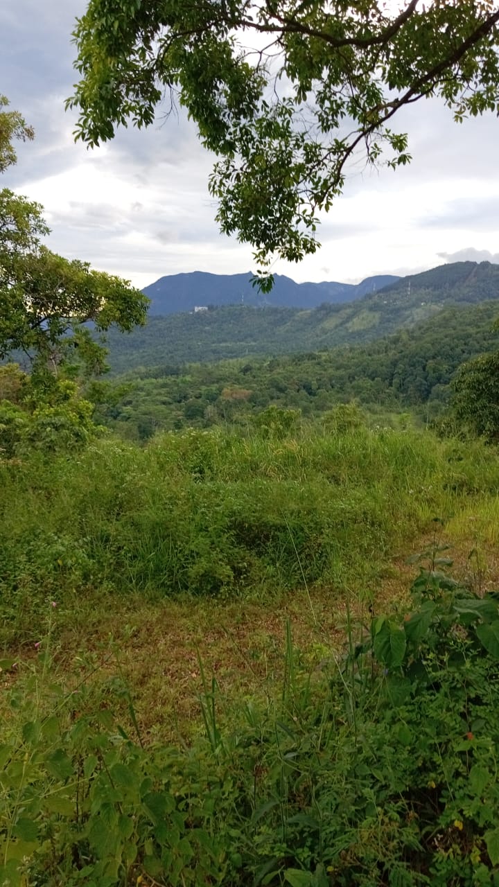 110 Perch Land For Sale In Beragala