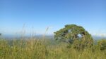 110 Perch Land For Sale In Beragala