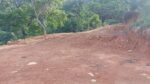 110 Perch Land For Sale In Beragala