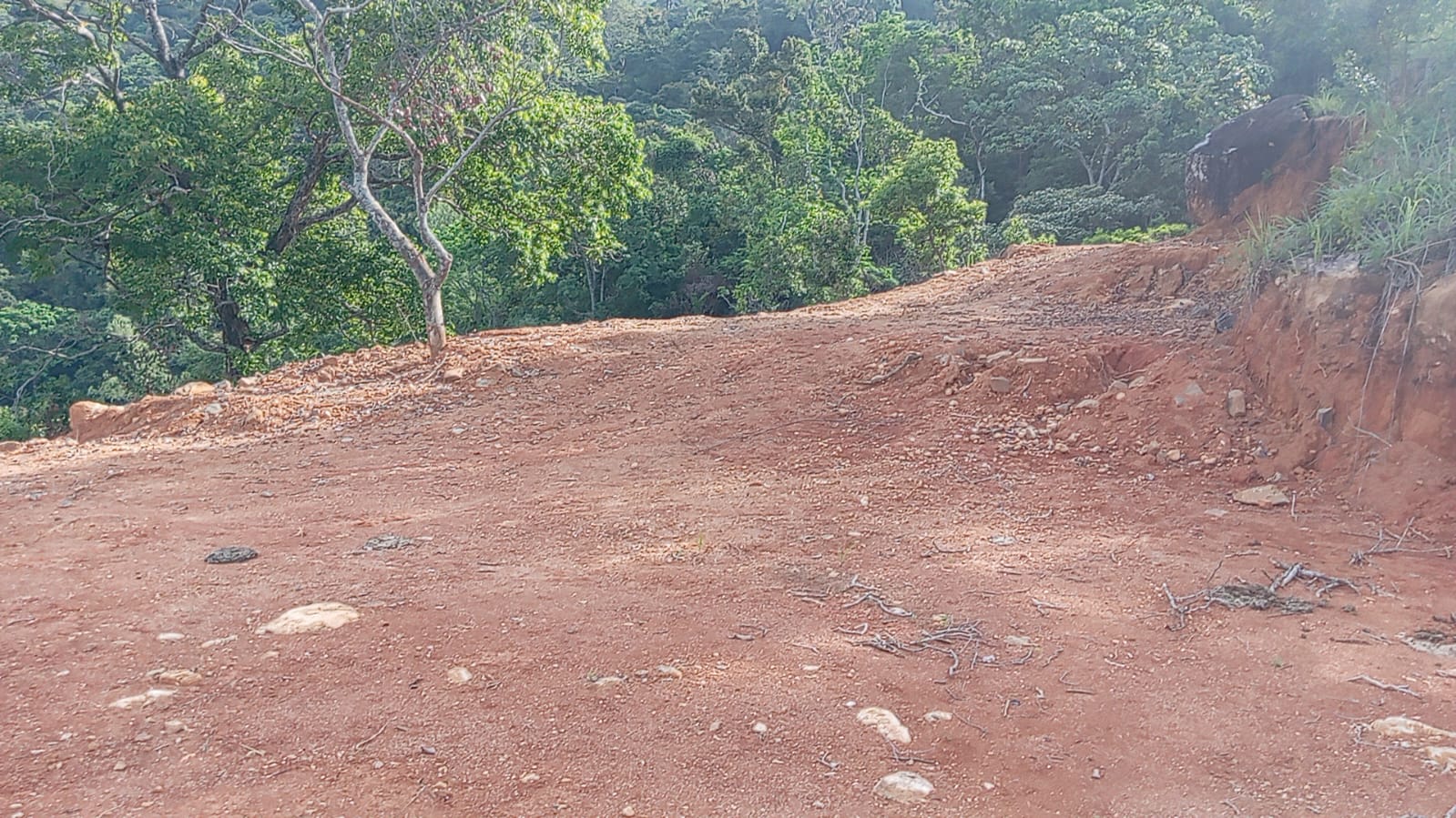 110 Perch Land For Sale In Beragala
