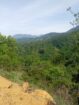 110 Perch Land For Sale In Beragala