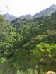 110 Perch Land For Sale In Beragala