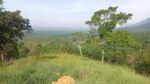 110 Perch Land For Sale In Beragala