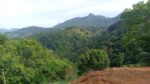 110 Perch Land For Sale In Beragala