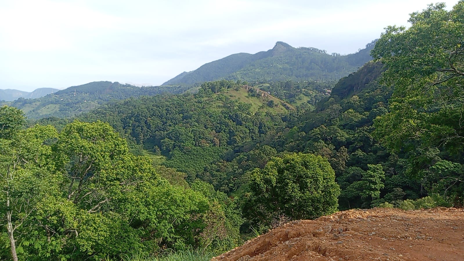 110 Perch Land For Sale In Beragala