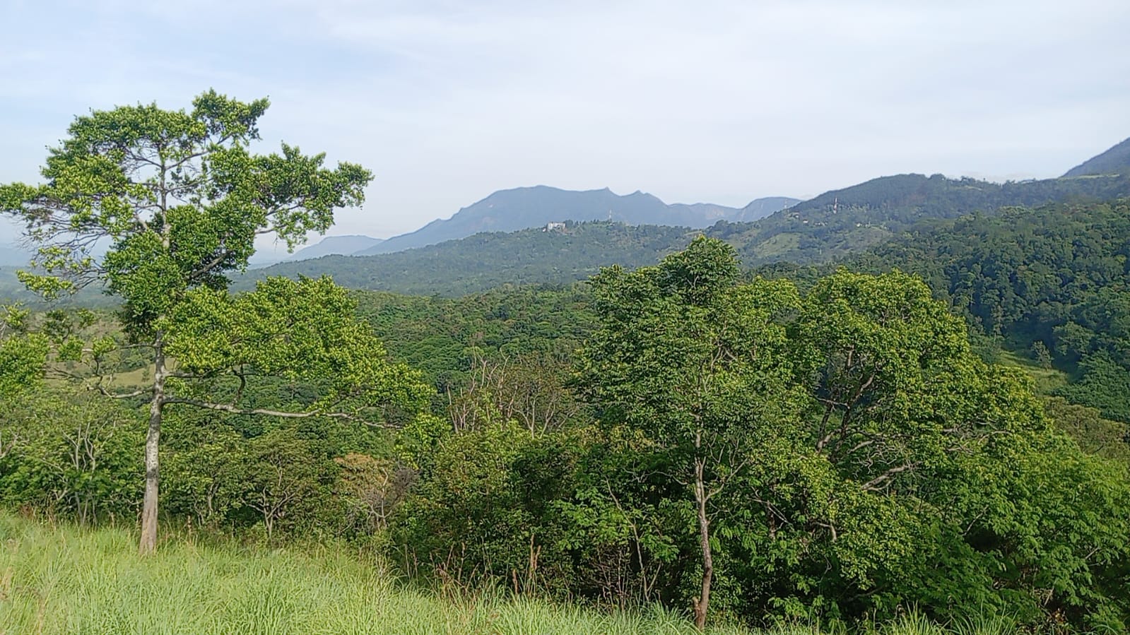 110 Perch Land For Sale In Beragala