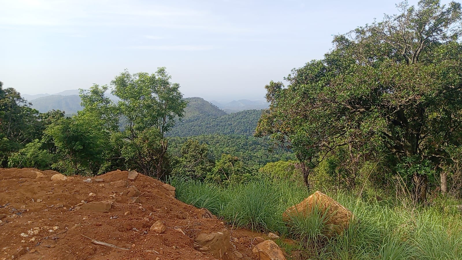 110 Perch Land For Sale In Beragala