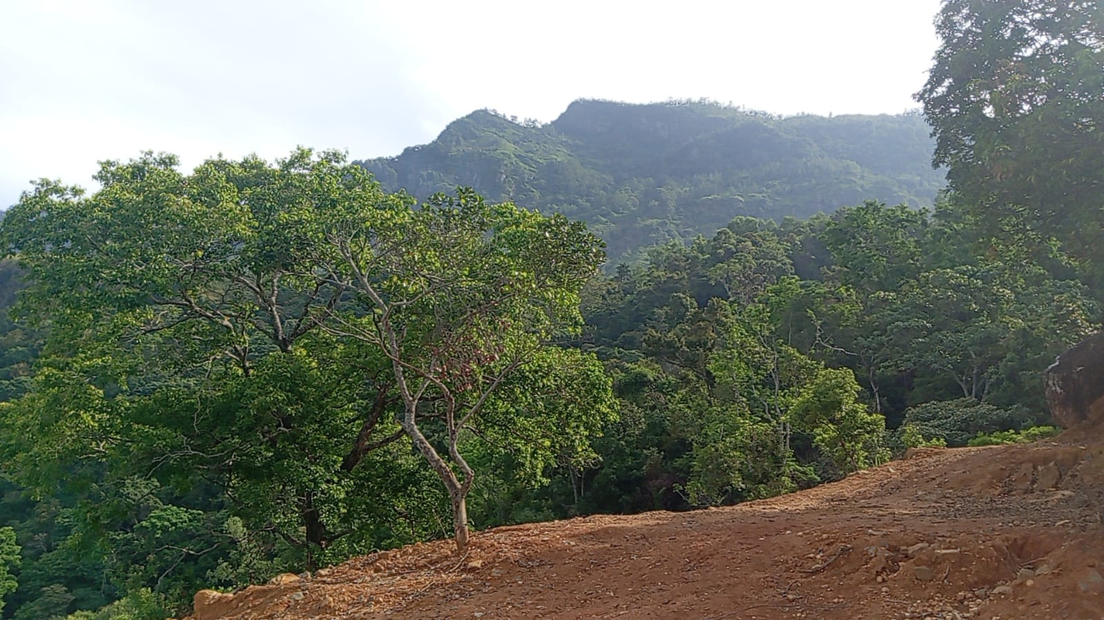 110 Perch Land For Sale In Beragala