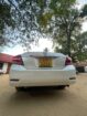 Toyota Allion 2010 Car