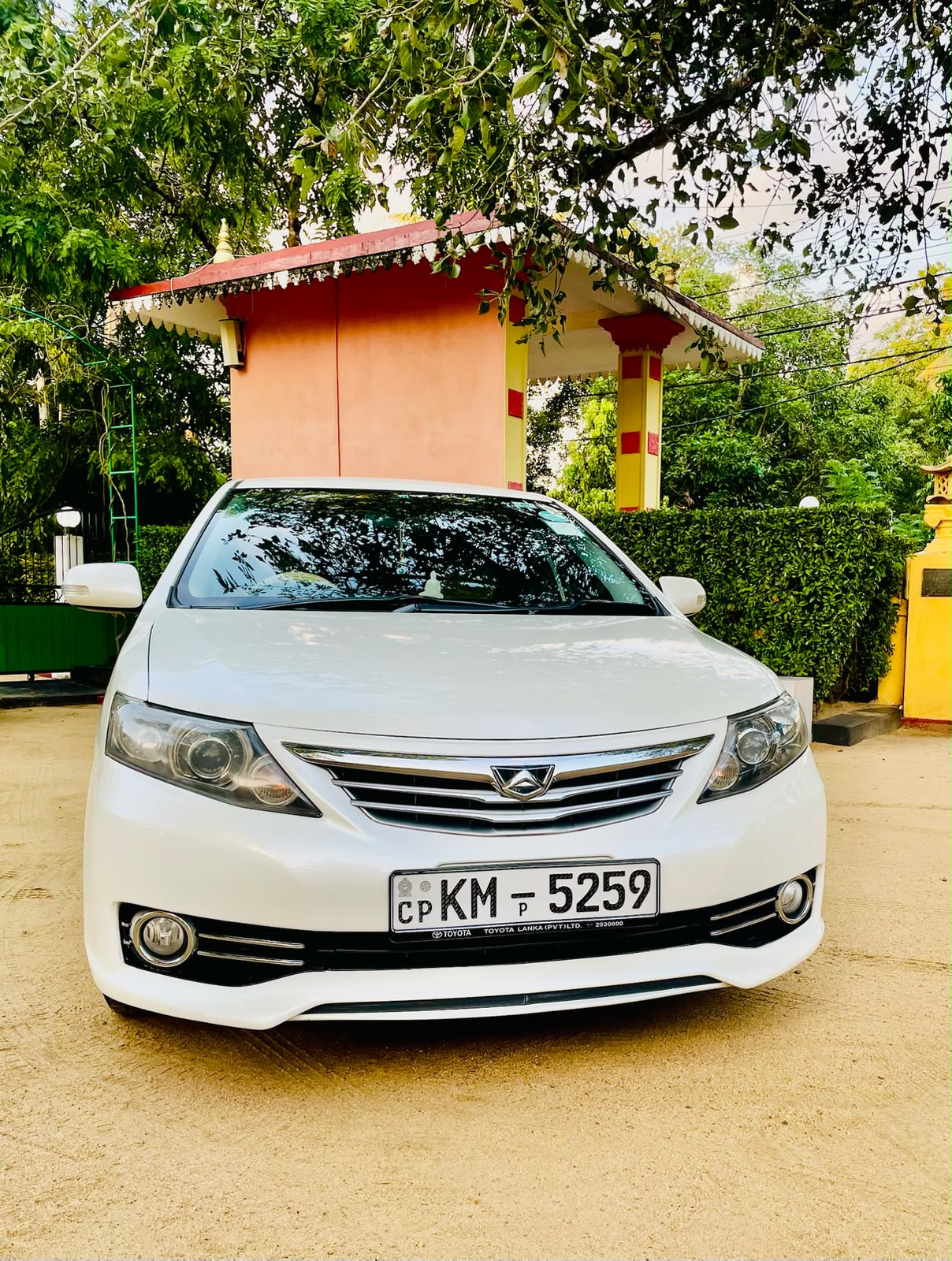 Toyota Allion 2010 Car