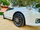 Toyota Allion 2010 Car