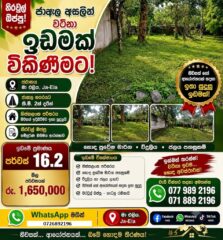 WhatsApp-Image-2026-08-21-at-10.59.16-AM