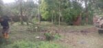 Luxury Land For Sale In Jaela – Maeliya