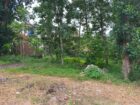 Luxury Land For Sale In Jaela – Maeliya