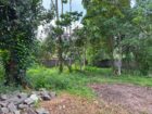 Luxury Land For Sale In Jaela – Maeliya