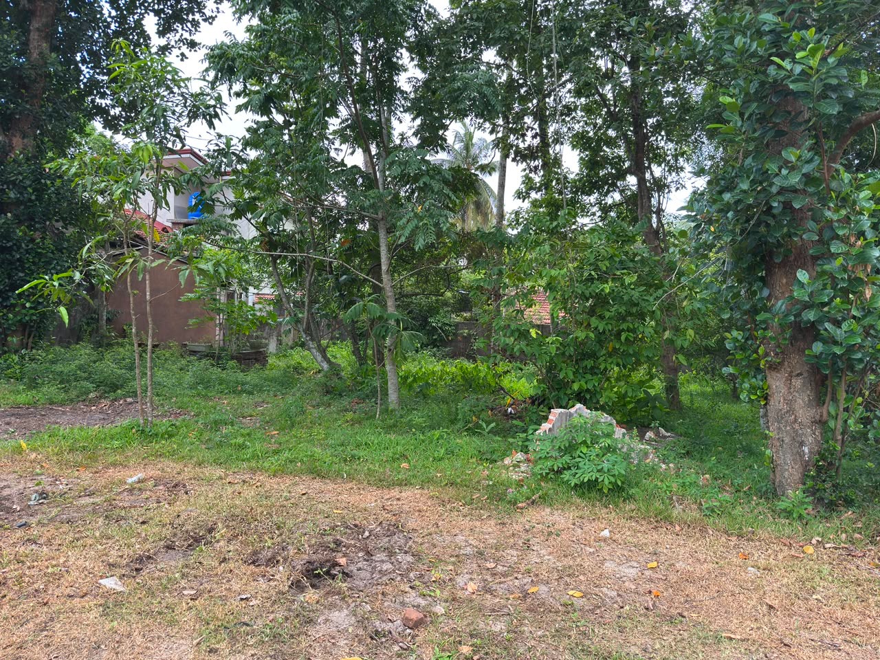 Luxury Land For Sale In Jaela – Maeliya