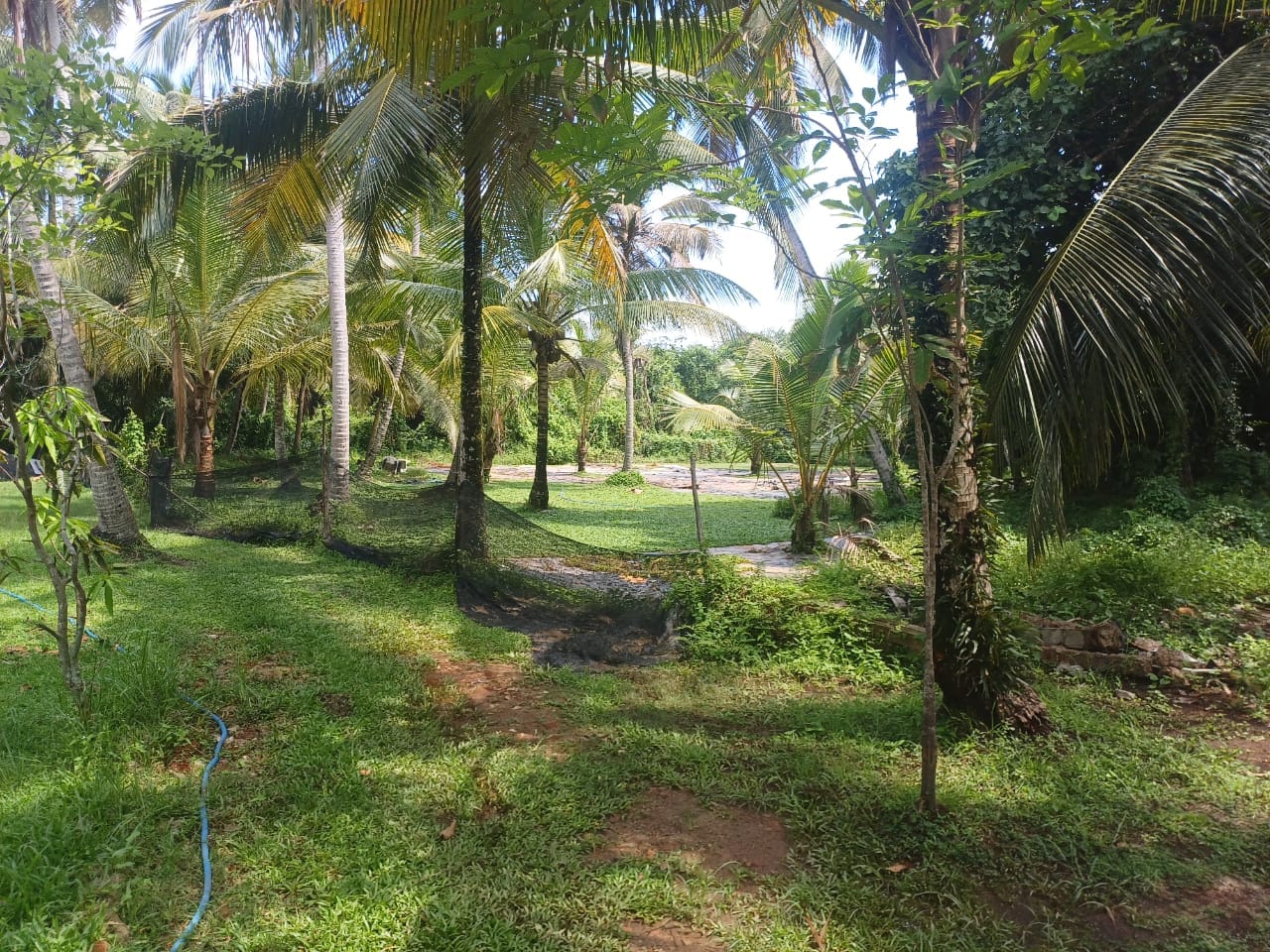 Land for Sale In Gampaha, Ja Ela
