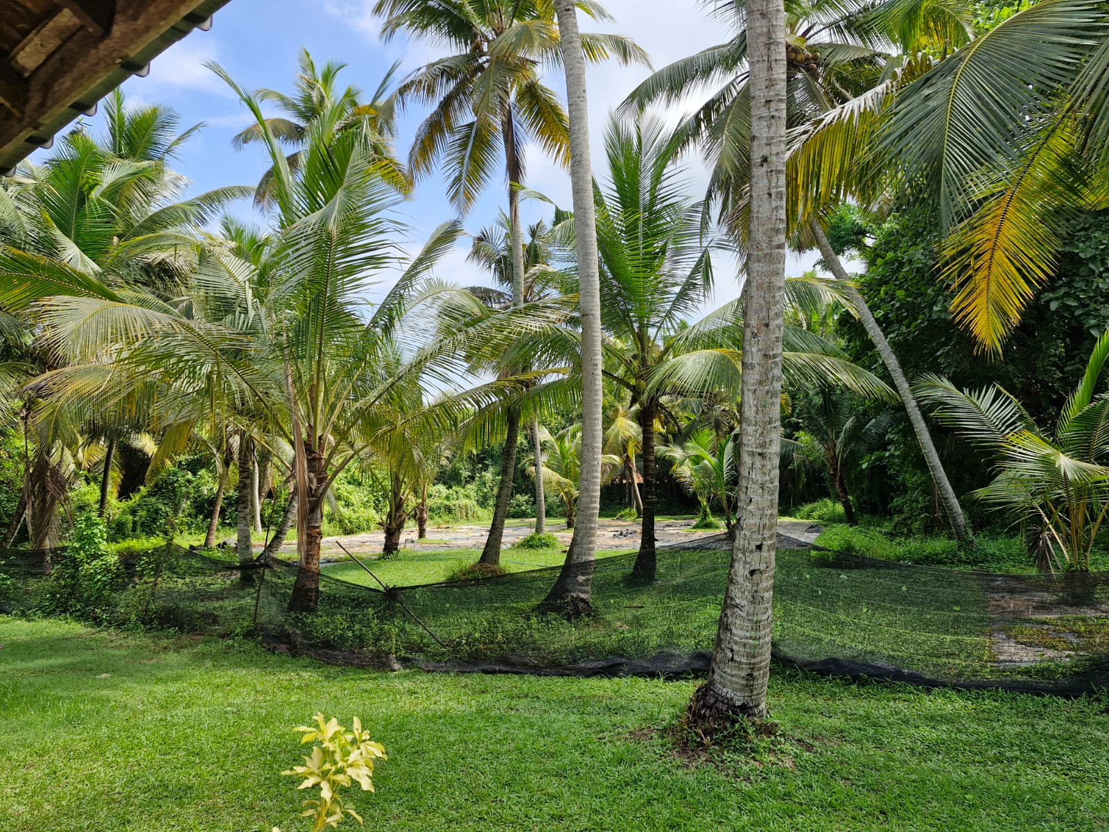 Land for Sale In Gampaha, Ja Ela