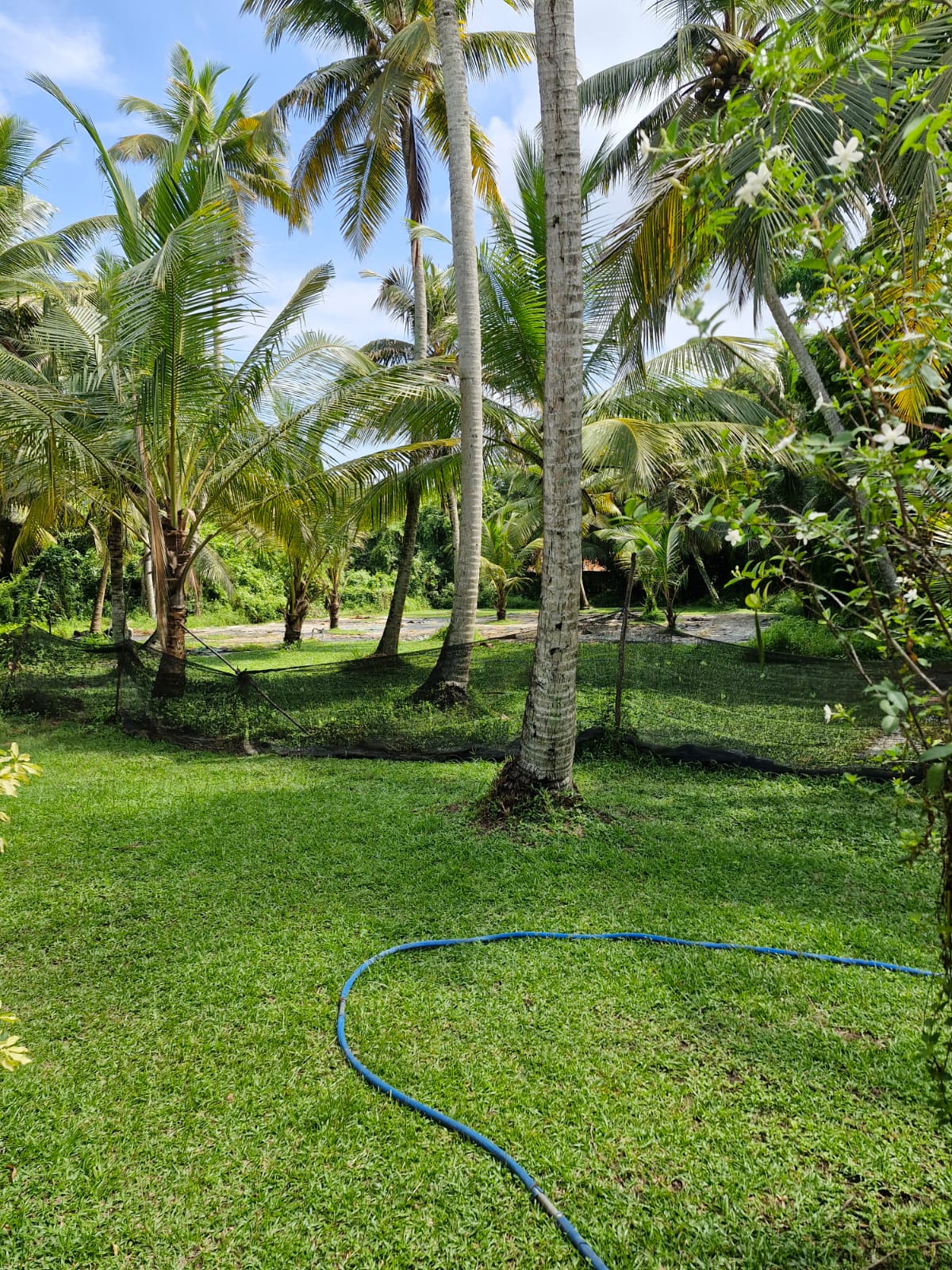Land for Sale In Gampaha, Ja Ela