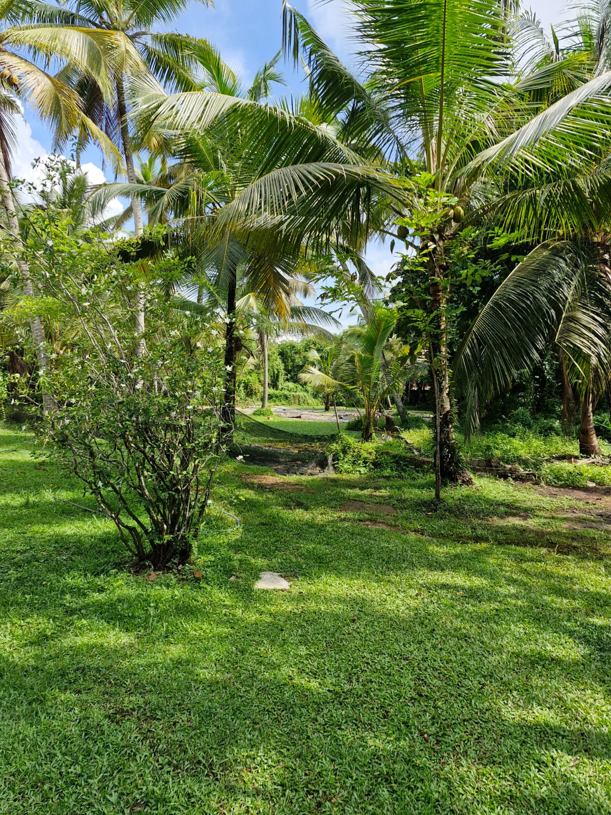 Land for Sale In Gampaha, Ja Ela