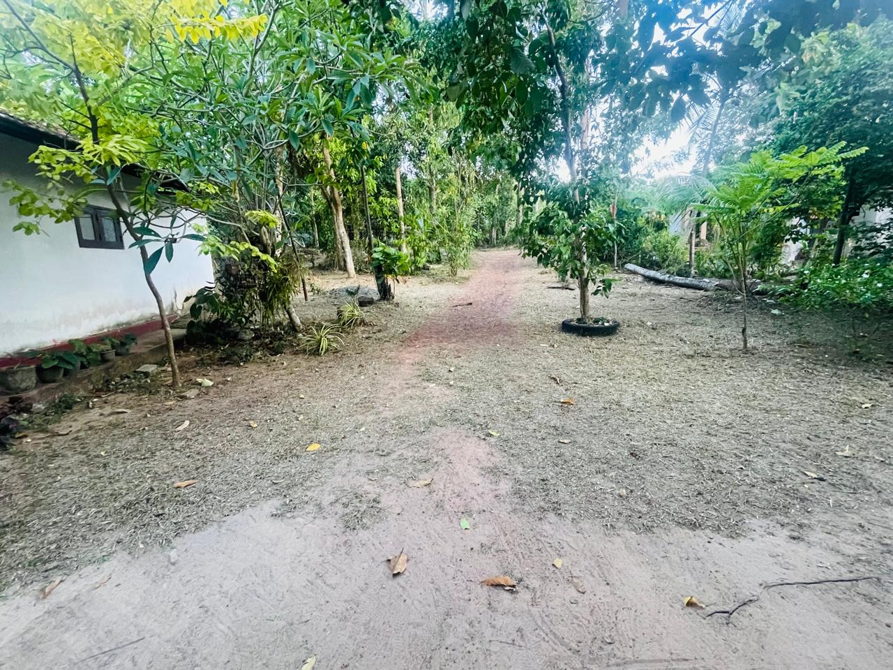 House With Land For Sale In Negombo