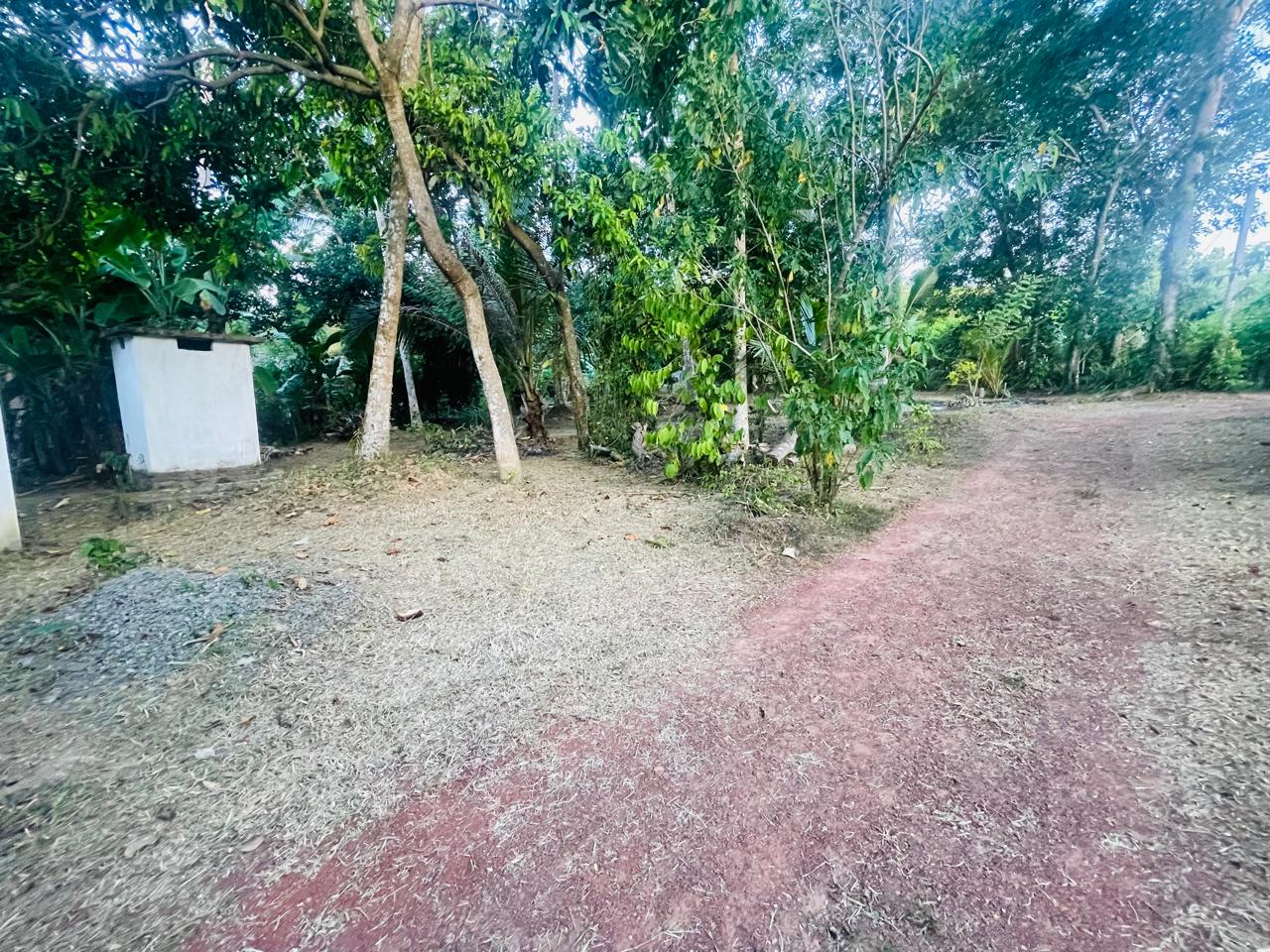 House With Land For Sale In Negombo