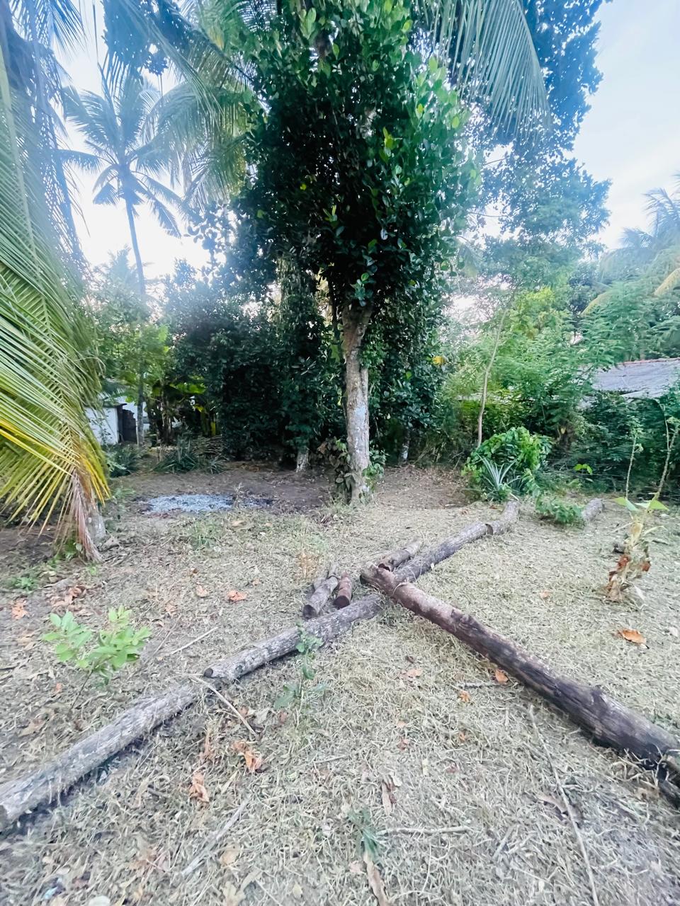 House With Land For Sale In Negombo