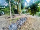 House With Land For Sale In Negombo