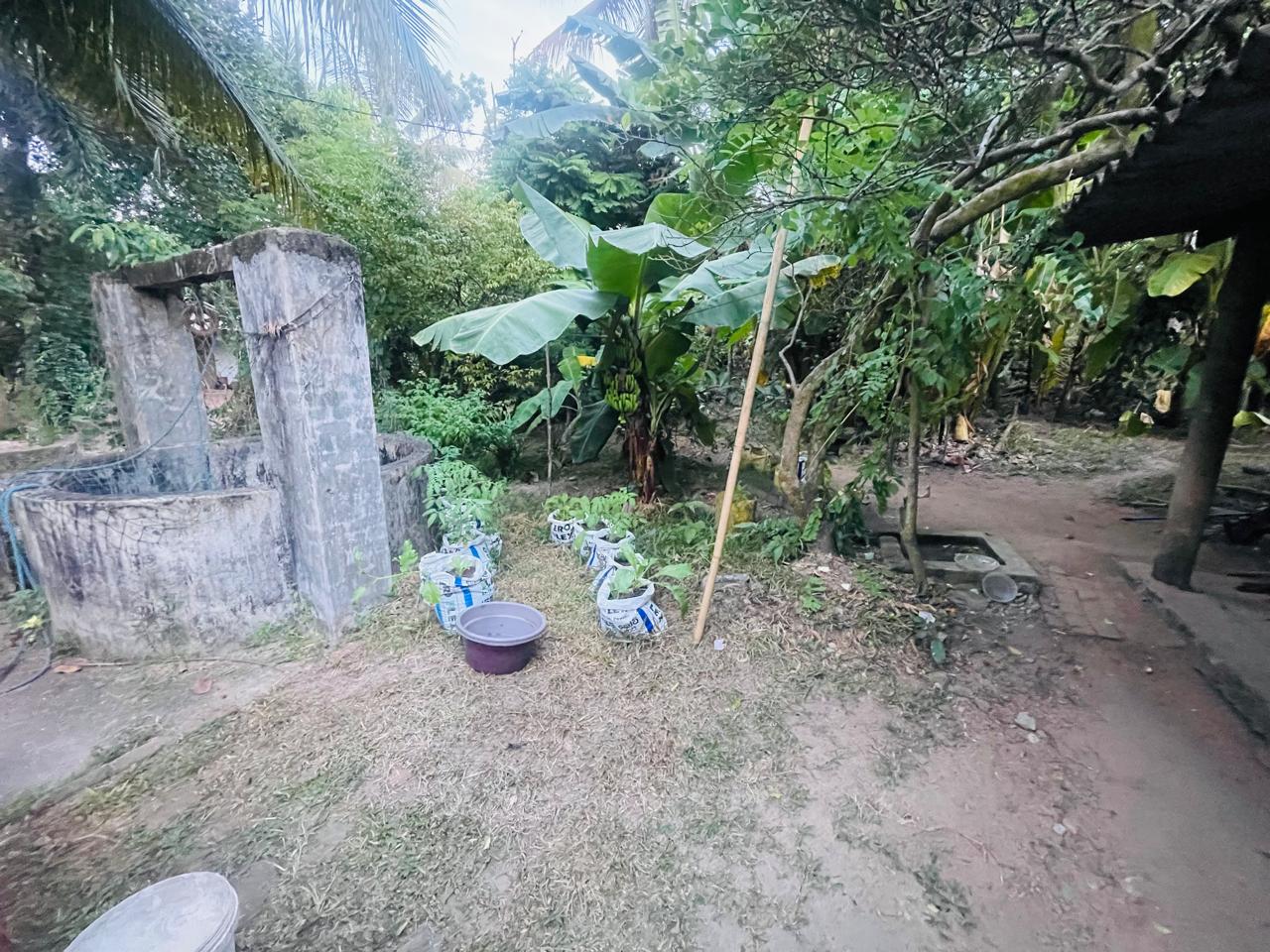 House With Land For Sale In Negombo