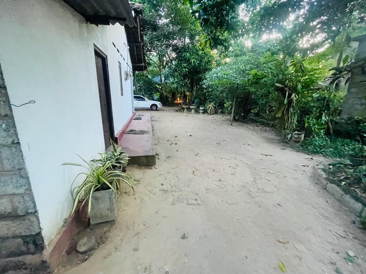 House With Land For Sale In Negombo