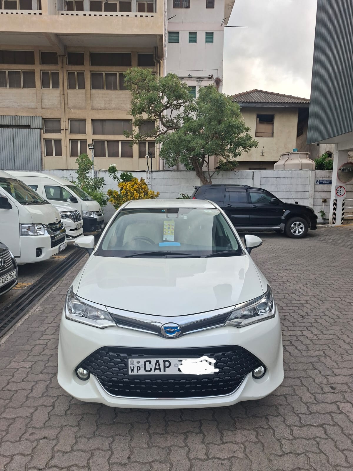 Toyota Axio 2016