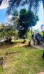 Land With House For Sale In Ja-Ela