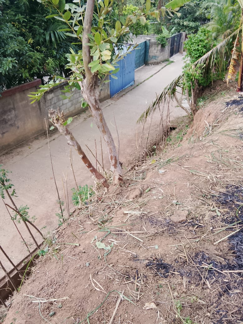 වැලිමඩ නගරයට ආසන්න ඉඩමක් ඇත