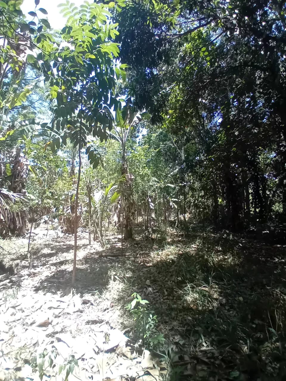 පර්චස් 34 අගනා ඉඩමක් – වැල්ලවාය