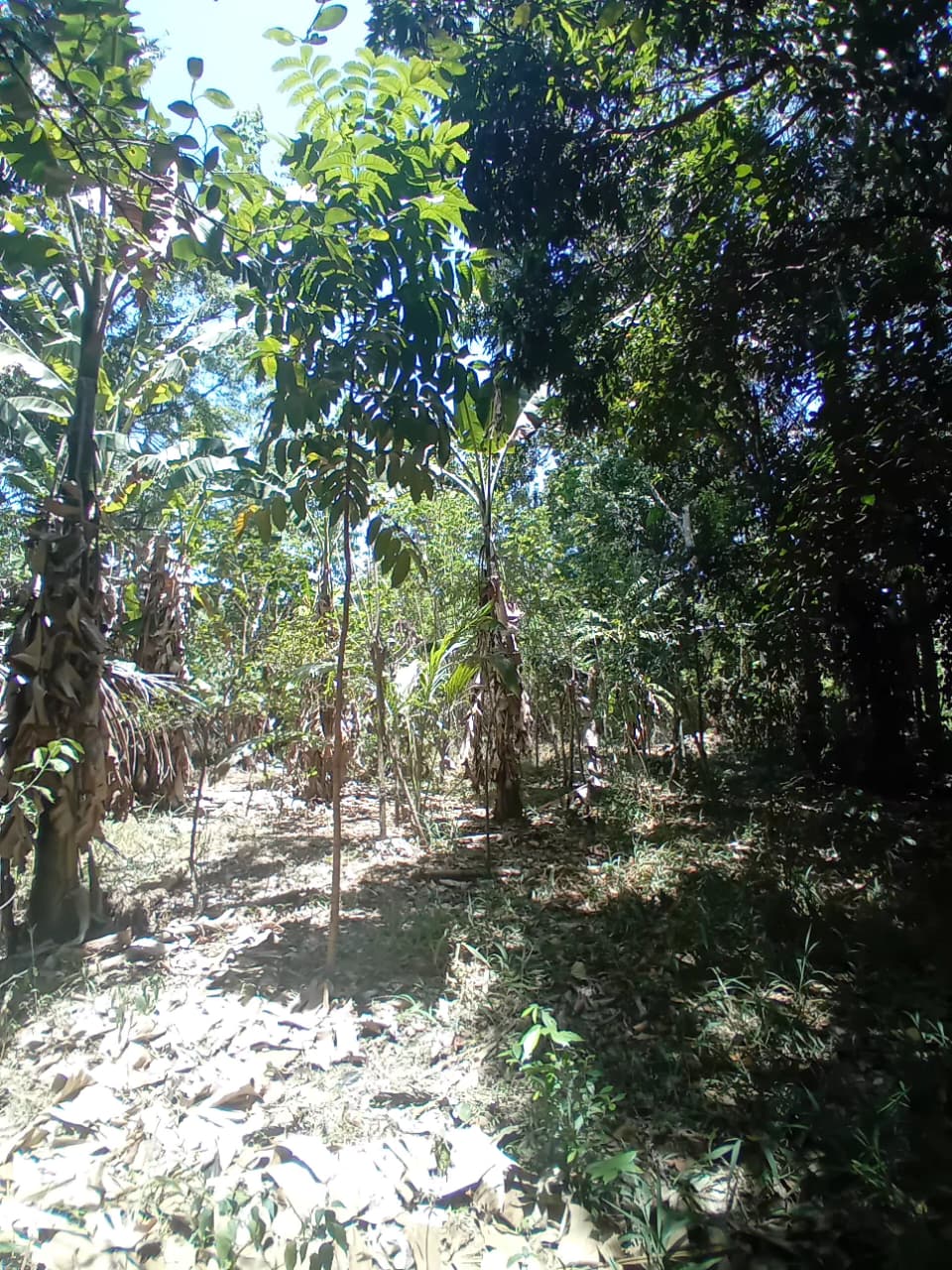 පර්චස් 34 අගනා ඉඩමක් – වැල්ලවාය