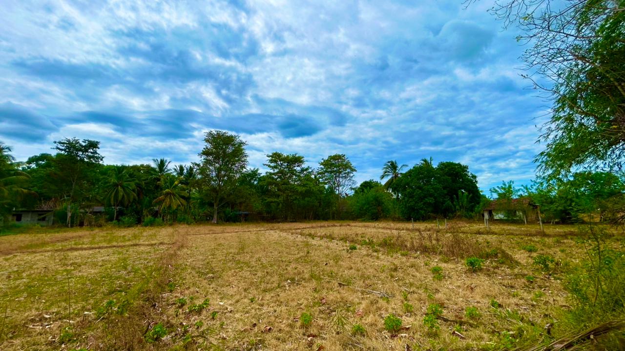 පදිංචියට හෝ වගාවට සුදුසු අක්කර 1ක ඉඩමක් විකිණීමට – මහියංගනය