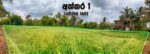 පදිංචියට හෝ වගාවට සුදුසු අක්කර 1ක ඉඩමක් විකිණීමට – මහියංගනය