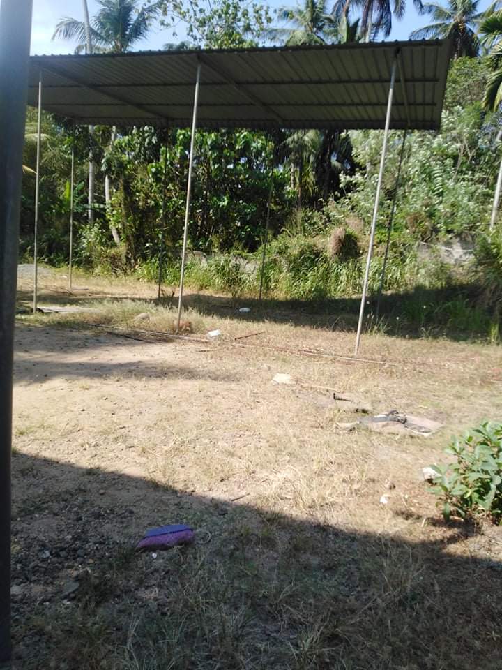 Land For Sale Alawwa