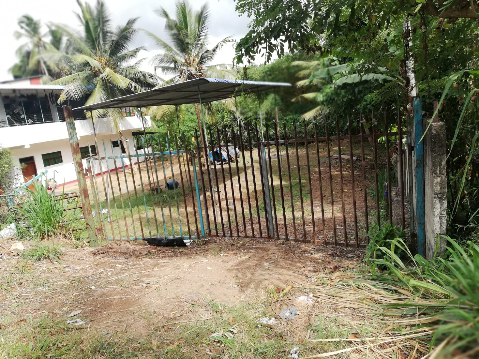 Land For Sale Alawwa