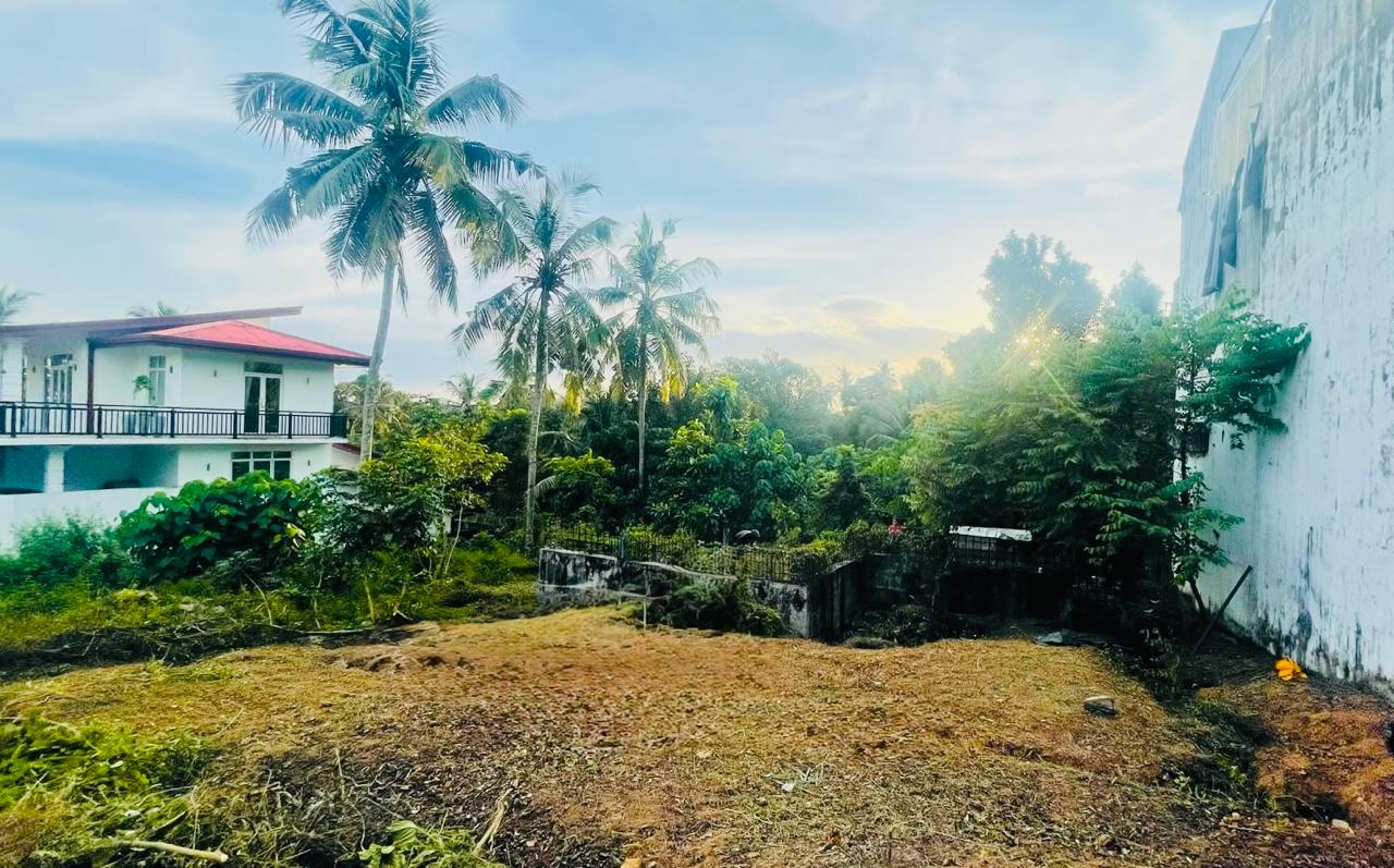 Land for Sale In Makola
